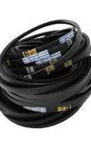 correia em v lisa correia em v lisa