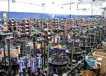 Correia elastica Correia elastica