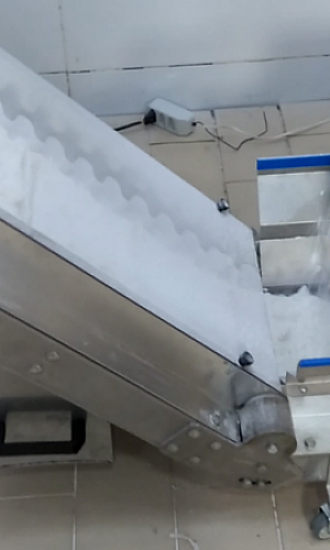 Esteira transportadora alimentícia Esteira transportadora alimentícia