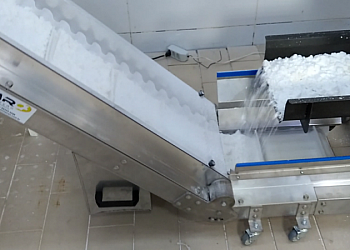 Correia transportadora alimentícia Correia transportadora alimentícia